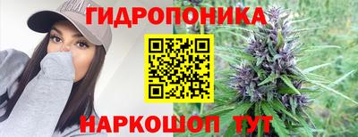 прущие крисы Кингисепп