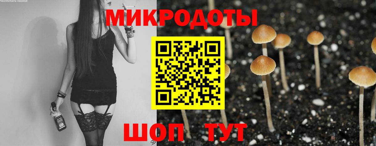 Галлюциногенные грибы Psilocybe Балашов